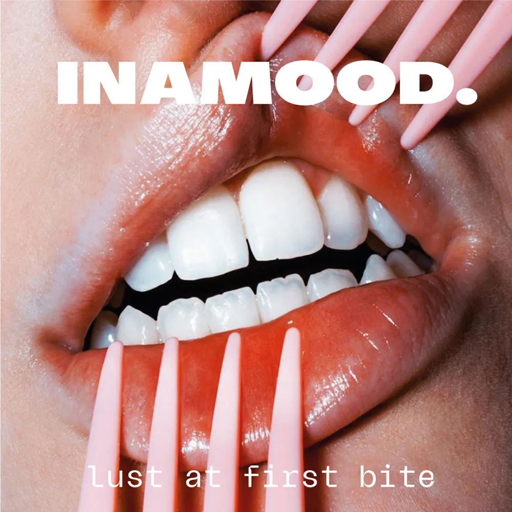 INAMOOD huisstijl, verpakking, vriesunit, app en campagnebeeld